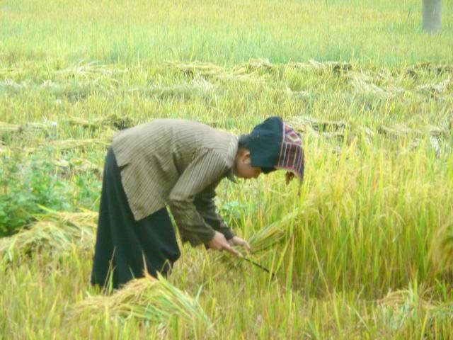 Urlaub in Vietnam 2007